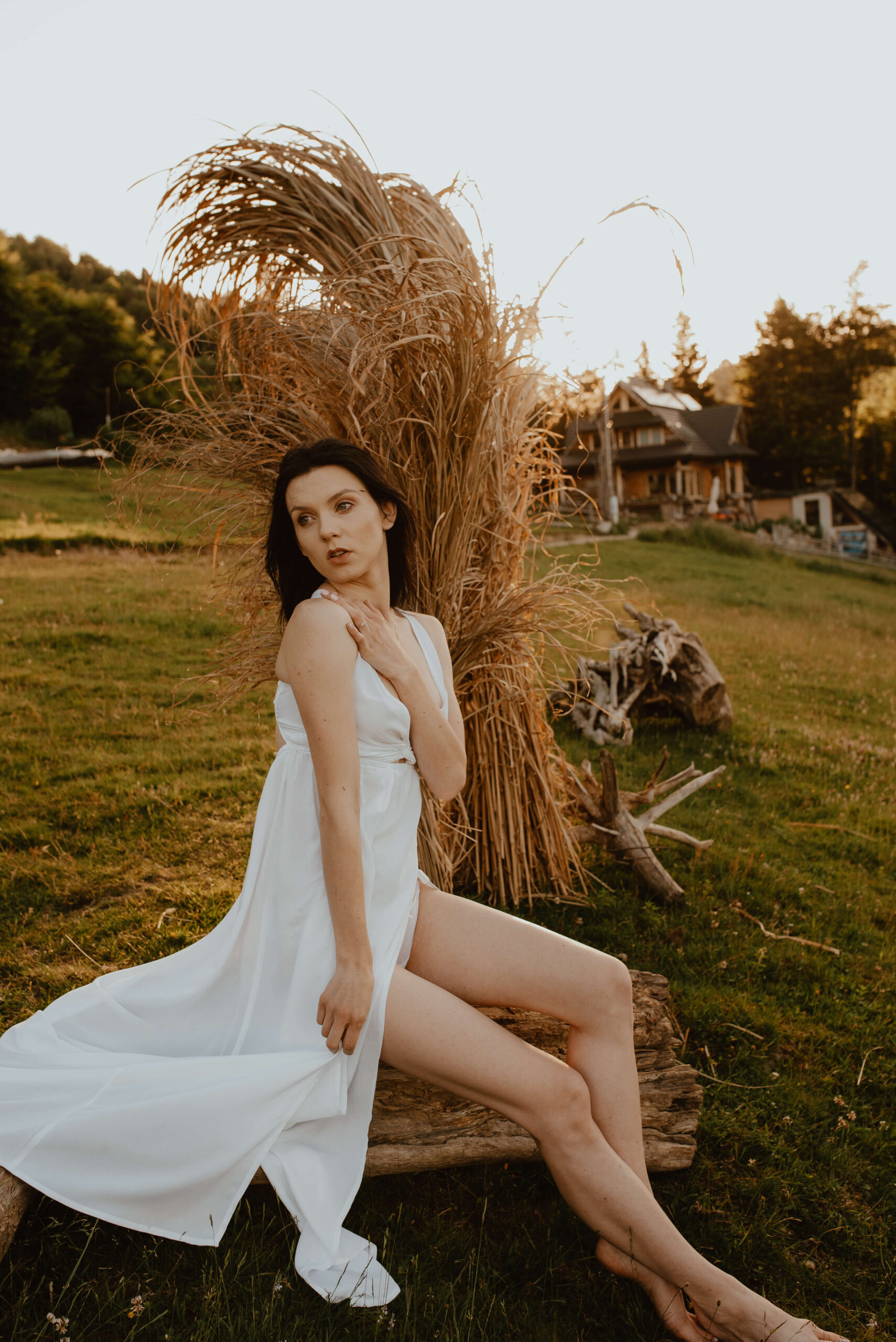 Ein neuer Tag beginnt! Eine junge Braut steht auf einem Baumstamm und bewundert den Sonnenaufgang. Sie trägt ein weißes, leichtes Kleid und ihre Haare fliegen im Wind. Im Hintergrund befinden sich Felder mit hohem Gras, die im warmen Sonnenlicht glänzen.